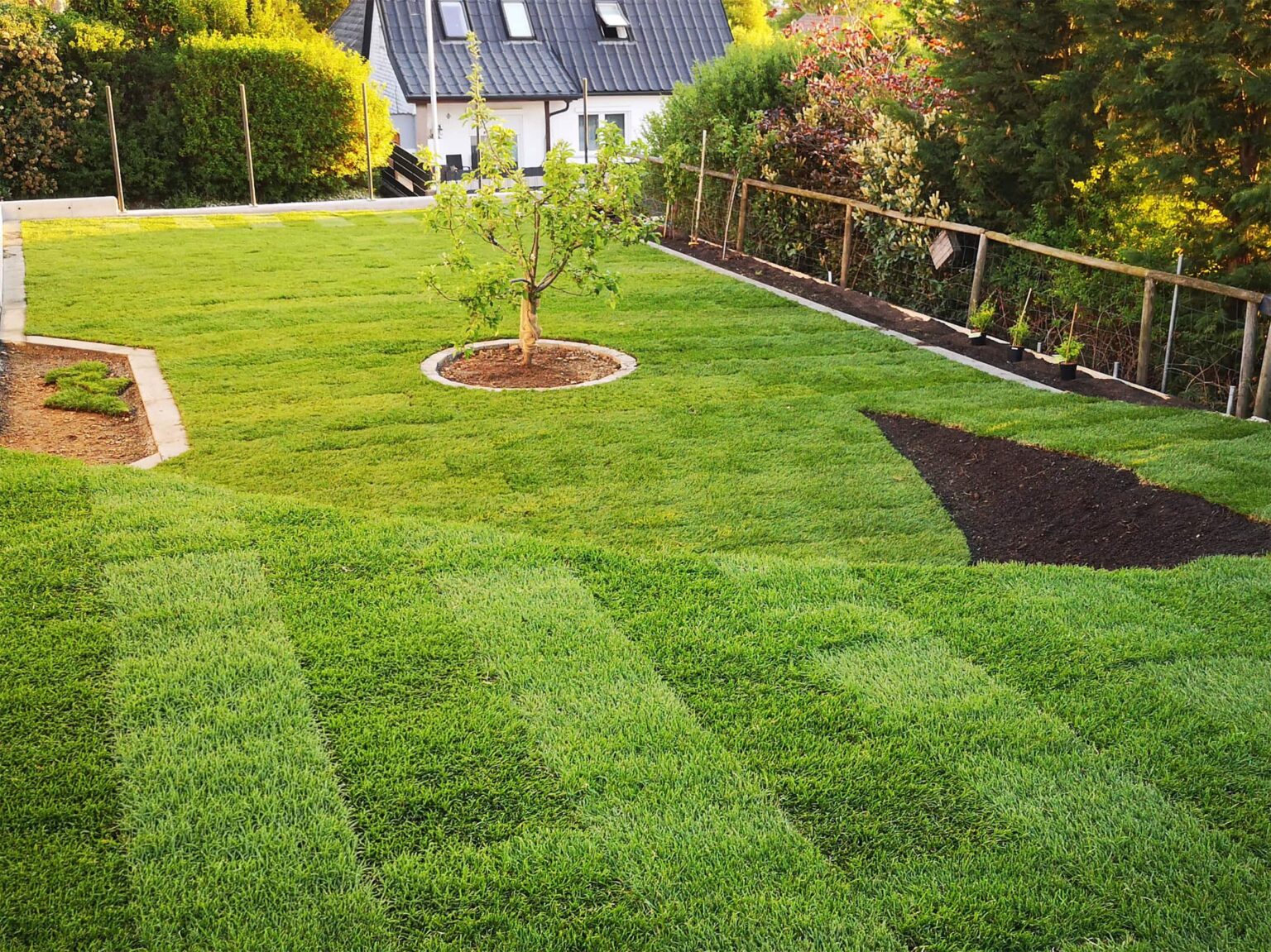Gepflegter Garten mit frisch verlegtem Rasen, jungem Baum und angelegten Beeten vor einem Haus